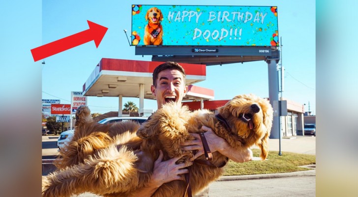 Questo ragazzo ha affittato un cartellone pubblicitario per far sapere a tutti il giorno del compleanno del suo cane