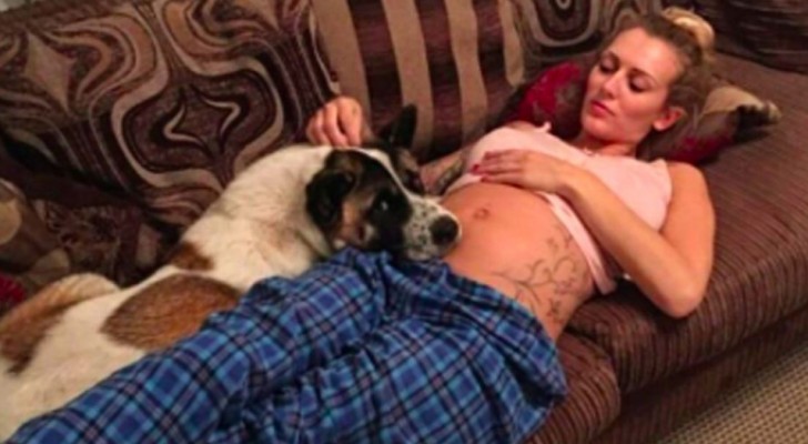 De hond blijft blaffen naar haar zwangere baasje: artsen ontdekken dat de vrouw een ernstige nierinfectie heeft