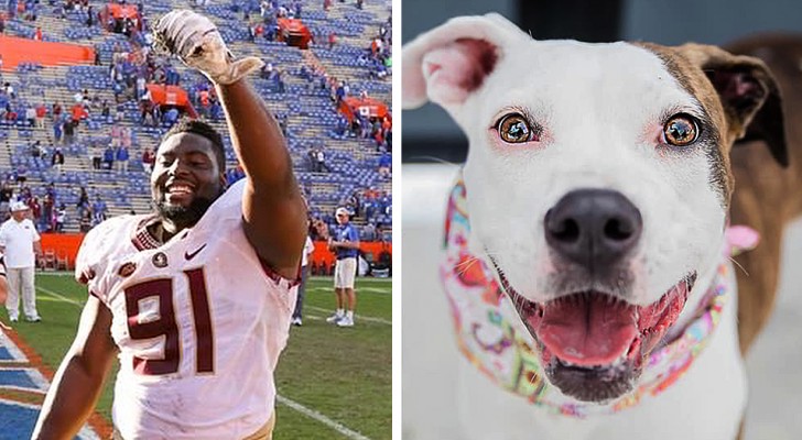 Questo campione di football celebra la vittoria al Super Bowl pagando le tasse di adozione per i cani di un rifugio
