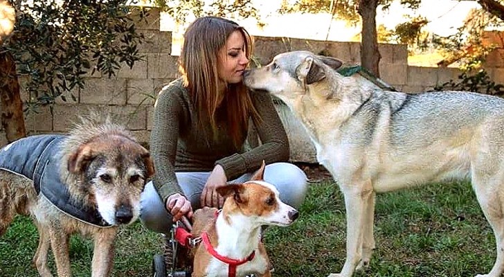 Esta mulher adota dos canis somente os cachorros mais velhos, dando a eles amor e afeto nos últimos anos de suas vidas
