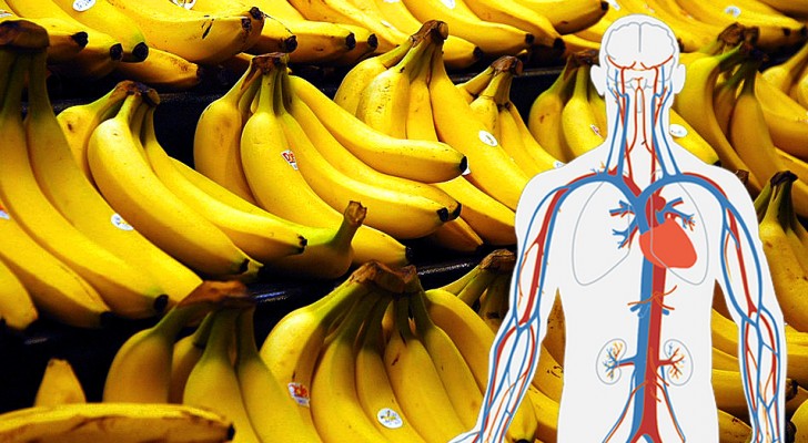 The banana is a treasury of energy for the body: 7 benefits that make it an excellent choice for health