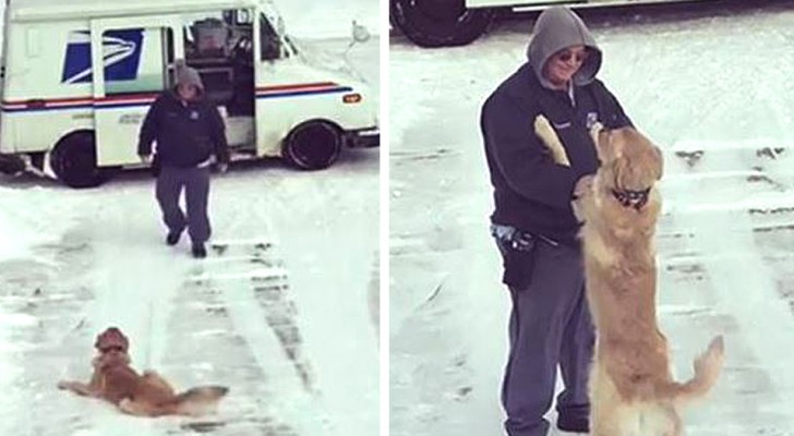 Every day, this dog waits on the driveway for the postman to give him a splendid welcome