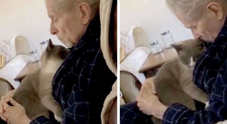 Questo tenero gattino conforta tutti i giorni il suo padrone malato di Alzheimer non abbandonandolo mai