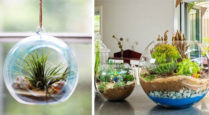 10 trovate strabilianti per creare terrari fai-da-te e dar vita a piccoli  mondi verdi in qualsiasi contenitore di vetro 