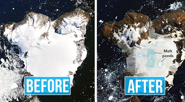 Über 18 Grad Celsius in der Antarktis: NASA-Bilder zeigen, wie schnell das Eis schmilzt