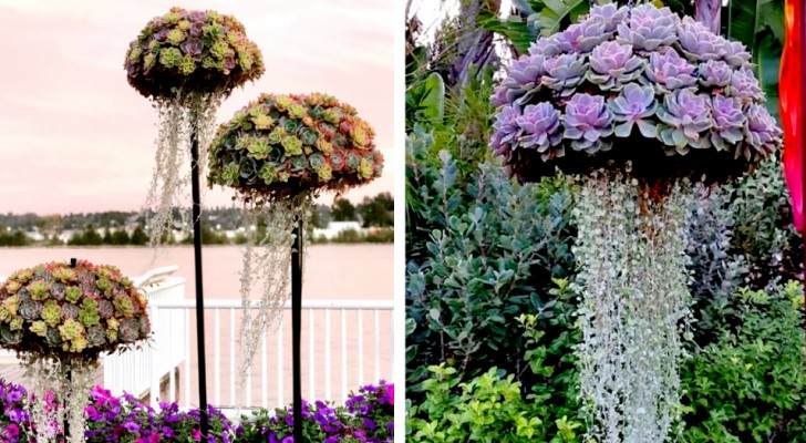 Queste composizioni trasformano le vostre piante grasse in colorate "meduse" da appendere