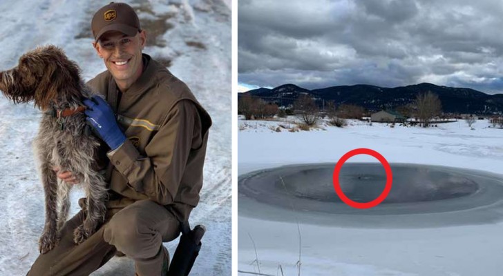 A courageous courier took off his uniform and threw himself into a frozen pond to save a dog in difficulty