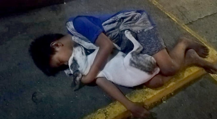 Questo bambino senzatetto dorme per terra abbracciato al suo fedele cane nell'indifferenza dei passanti