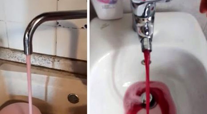 Problème de canalisation dans un village italien : du vin rouge sort pendant des heures des robinets des maisons