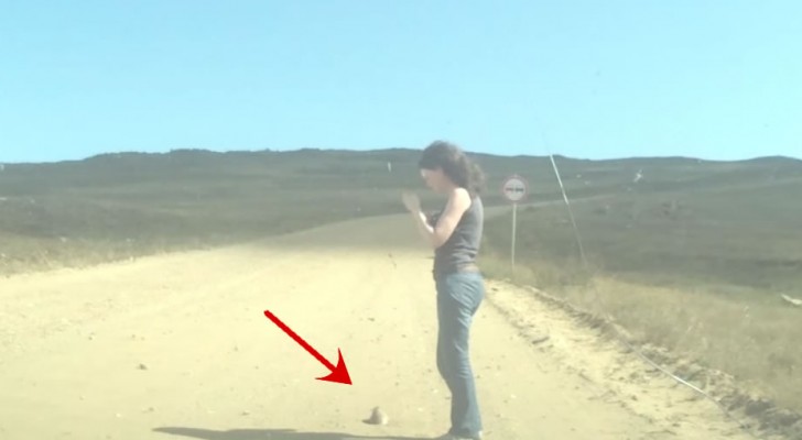 Prairie Dog Gets Stuck In A Hole But Luckily This Couple Help Him Out !