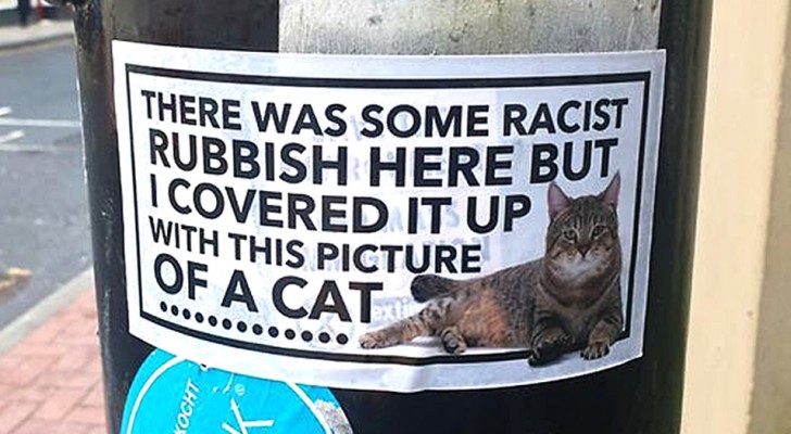 A Manchester delle persone hanno coperto scritte e graffiti razzisti con adesivi che mostrano un tenero gattino