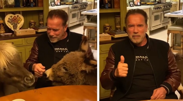 Anche Schwarzenegger si è messo in quarantena con i suoi animali, un asino e un mini cavallo: "Restiamo a casa"
