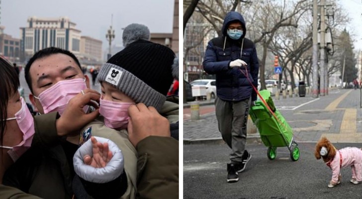 Es wird geschätzt, dass die Quarantänemaßnahmen in China den Tod von 77.000 Menschen aufgrund von Umweltverschmutzung verhindert haben