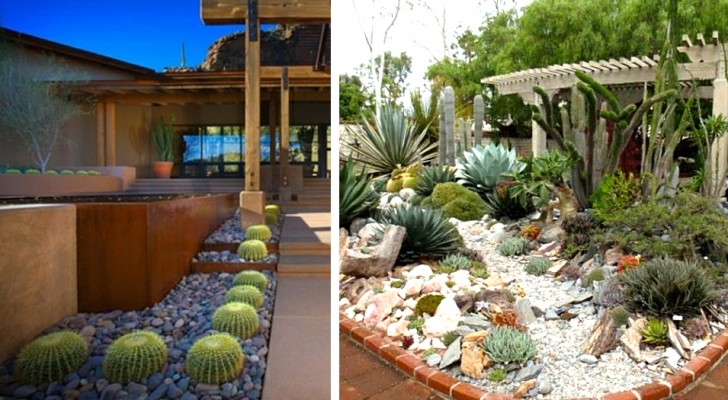 10 idee da cui trarre spunto per decorare il giardino con cactus e piante grasse
