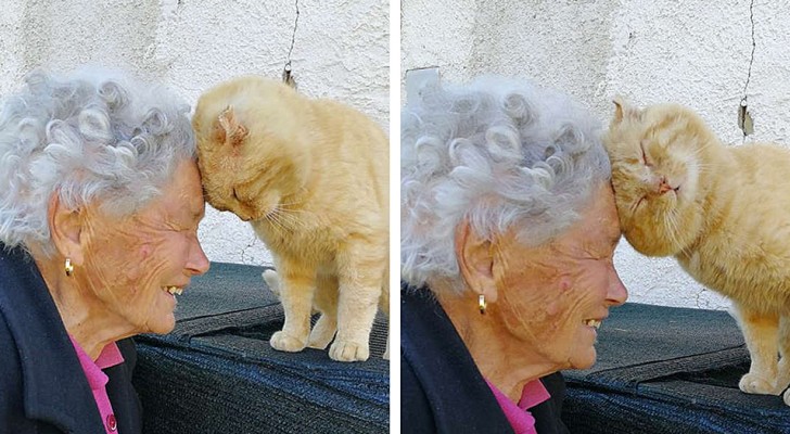 After 3 years apart, this woman is finally reunited with her cat, which she originally lost in an earthquake