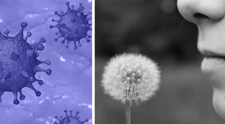 Plötzlicher Verlust von Geruchs- und Geschmackssinn könnte ein erstes Symptom des Coronavirus sein: so die Hypothese der Forscher