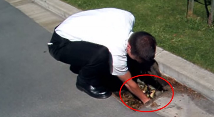 A man hears some noises in a drain: someone needs his help !