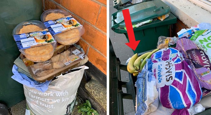 Panic surrounding the Coronavirus: a city council member photographs dozens of garbage bins full of fresh food gone to waste
