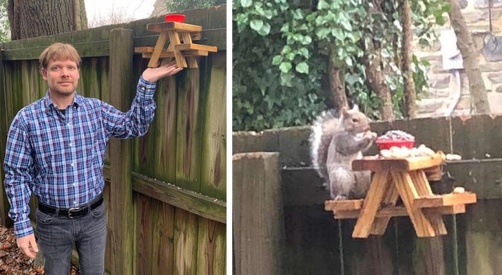 Il construit une adorable table de pique-nique miniature pour les écureuils dans son jardin