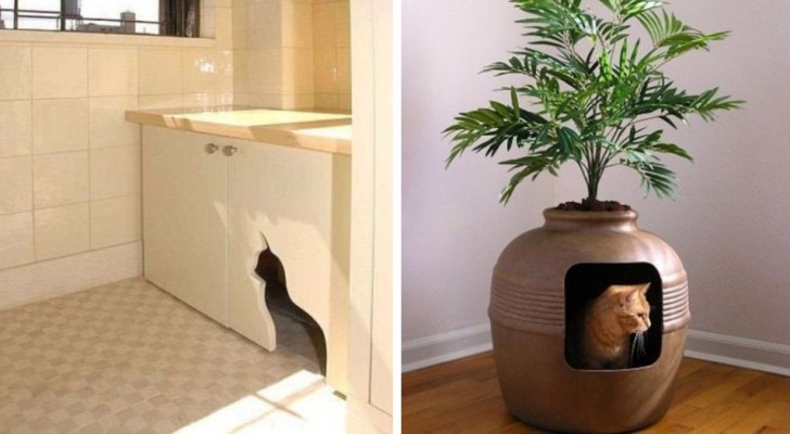 9 trovate ingegnose per nascondere le lettiere dei gatti inserendole nell'arredamento di casa