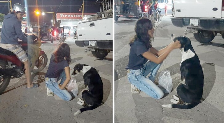 At the height of the Coronavirus emergency, a couple on a motorcycle give water, food and comfort to stray dogs