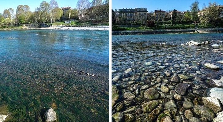 A Torino le acque del fiume Po tornano limpide: un altro effetto dello stop per Coronavirus