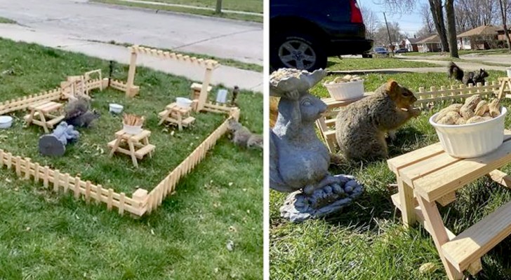 Un ragazzo in isolamento costruisce un mini ristorante in giardino per uccelli e scoiattoli