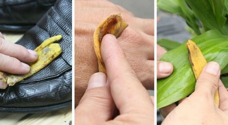 12 utilizzi pratici delle bucce di banana da sfruttare in casa, in giardino e per la cura della pelle