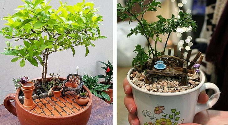 Le persone condividono le foto dei loro "giardini" nelle tazze da tè: 12 originali mondi fiabeschi in miniatura