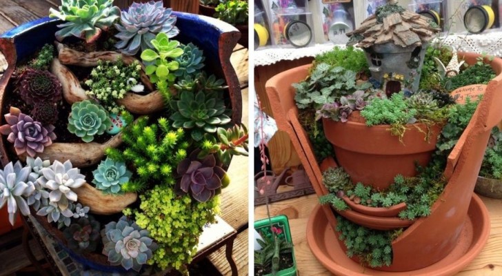 11 idee irresistibili per trasformare i vasi di terracotta rotti in mini-giardini fatati