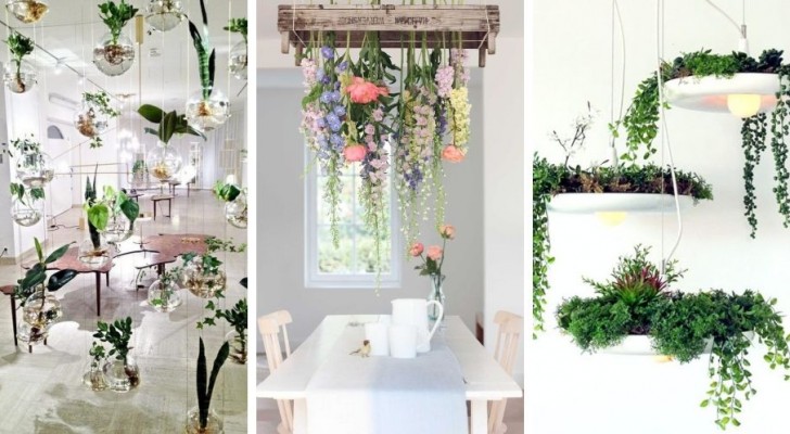 13 irresistibili proposte per decorare gli interni con piante sospese dal soffitto