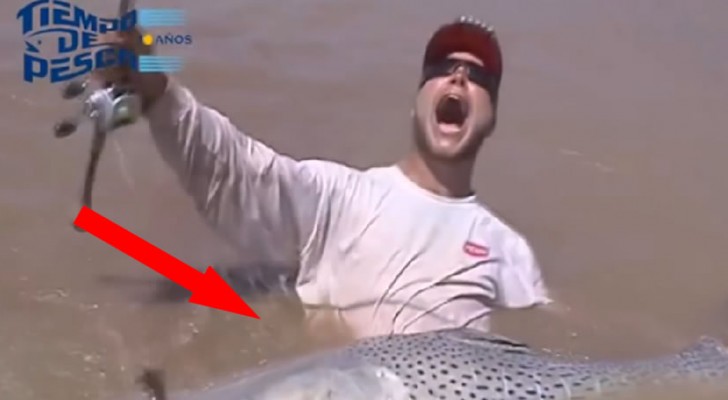 Un pescador euforico atrapa un surubi de 40 kilos y realiza una maravillosa accion jamas vista!