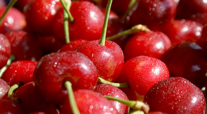 Las cerezas: sabrosas y ricas en propiedades antiinflamatorias, son excelentes aliadas para nuestra salud