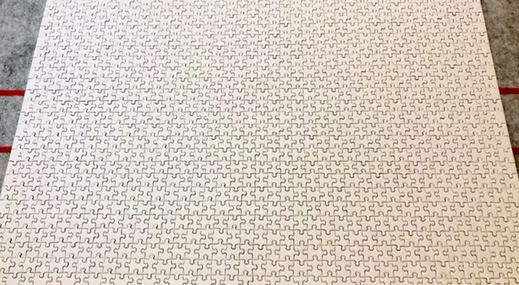Le puzzle aux 1 000 pièces blanches : un défi à relever pour ceux qui ont beaucoup de temps et de patience