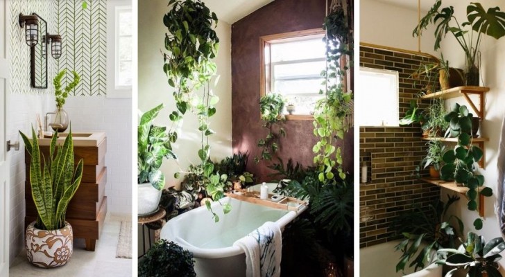 13 ottimi spunti da cui trarre ispirazione per arredare il bagno con le piante