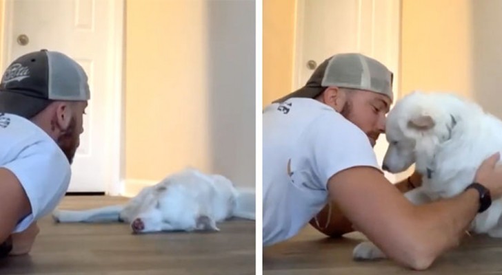Deze jongen heeft een effectieve methode gevonden om zijn blinde en dove hond met vriendelijkheid wakker te maken