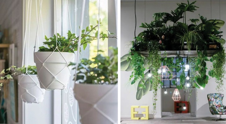 13 ideeën om je huis te decoreren met planten door ze aan het plafond te hangen