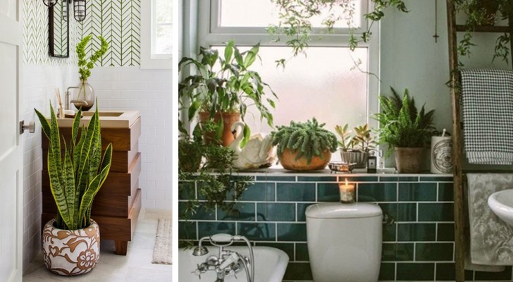 13 ideeën om inspiratie op te doen om de badkamer te voorzien van prachtige planten