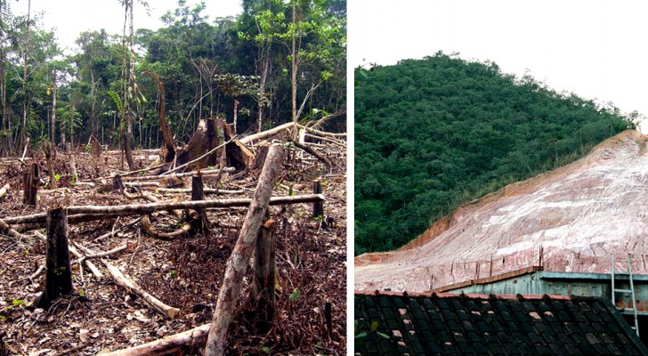 La pandemia non ferma la deforestazione in Brasile: rispetto al 2019, le aree distrutte sono raddoppiate