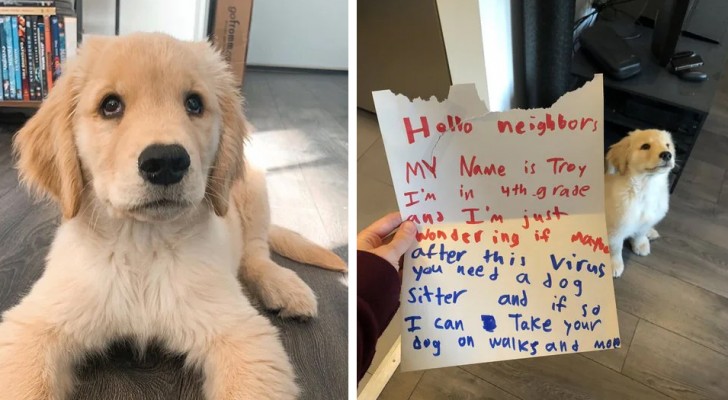 A 10-year-old boy asks neighbors if he can becomes their new puppy's petsitter after the Coronavirus pandemic ends 