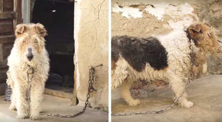 She had spent her whole life in chains and no one had ever given her a name: she is now safe and lives happily with a new family