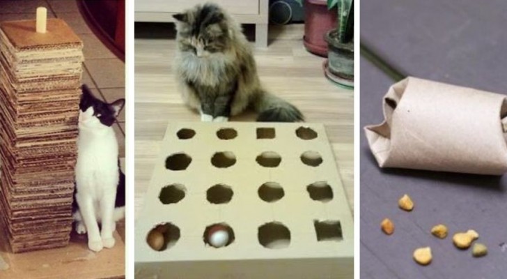Giochi per gatti: 5 idee facili ed economiche