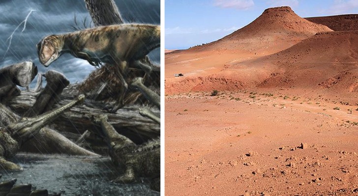 Le Maroc est l'endroit le plus dangereux de l'histoire de la Terre : dans l'Antiquité, il accueillait d'énormes prédateurs carnivores