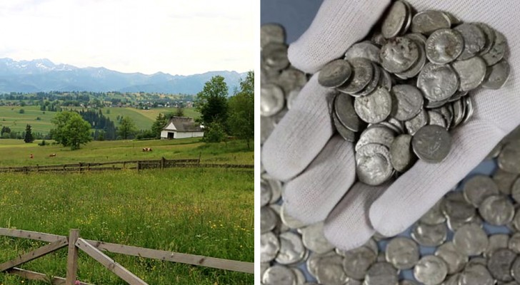 Ein Bauer findet auf seinen Feldern zufällig einen antiken Schatz: 1.753 römische Münzen