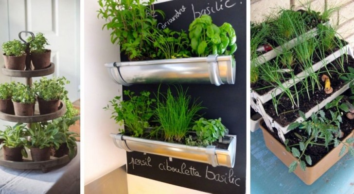 12 soluzioni ingegnose per far crescere le erbe aromatiche in casa in strepitose fioriere fai-da-te