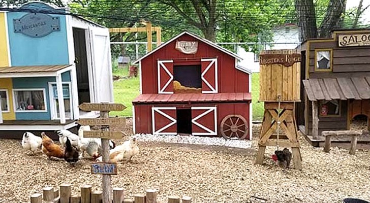 Een man bouwt een ministad voor de kippen van zijn vrouw: het lijkt op een westerse filmset