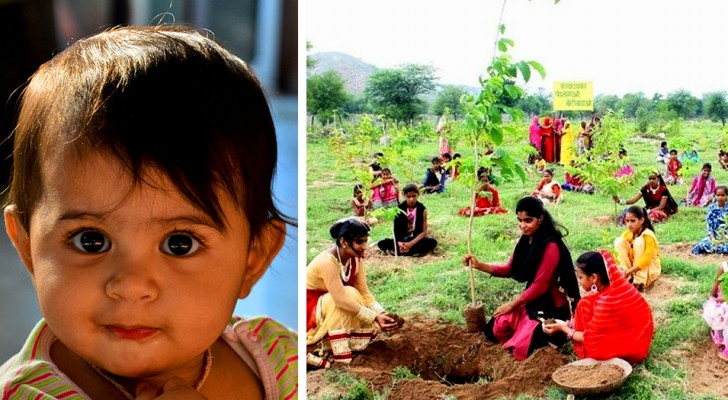 Questo villaggio pianta 111 alberi ogni volta che nasce una bambina: ora hanno un'intera foresta