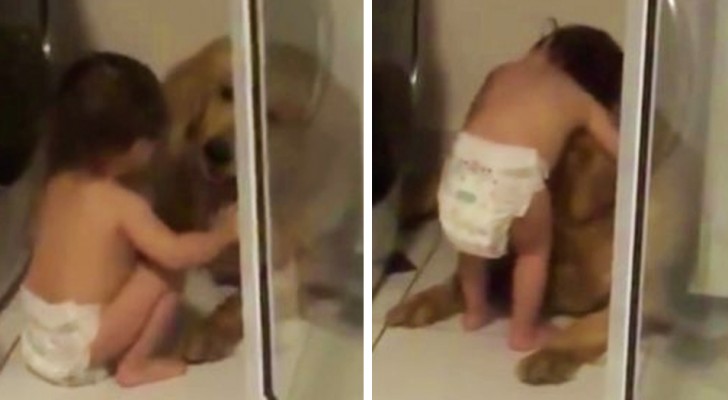 En pojke på bara några månader tröstar en hund som är vettskrämd på grund av åskan, videon är jättesöt