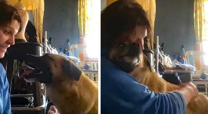 Esta perrita ha recorrido más de 60 km para abrazar nuevamente a la mujer que la había salvado
