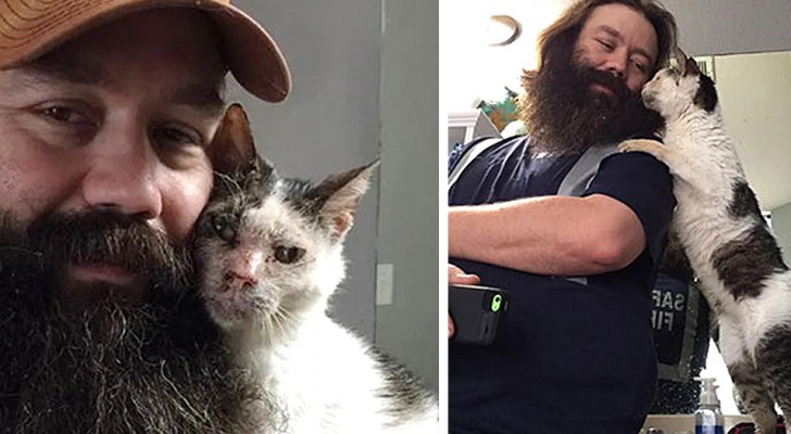 Un hombre salva a un gatito sordo abandonado: él no logra dejar de manifestarle amor y gratitud